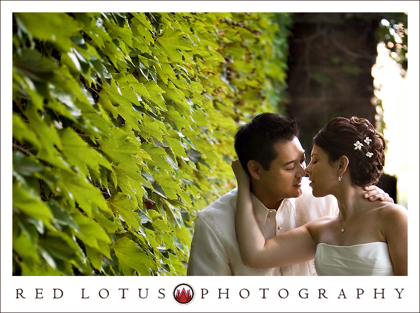 jdp-blog-65b jdp-blog-65b