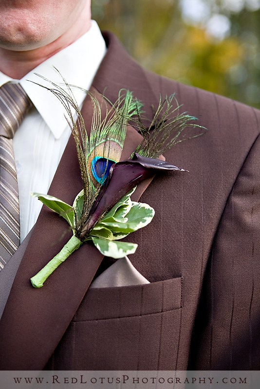 022110-peacock-feathers-wedding-07