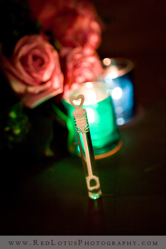 022110-pittsburgh-wedding-photographer35