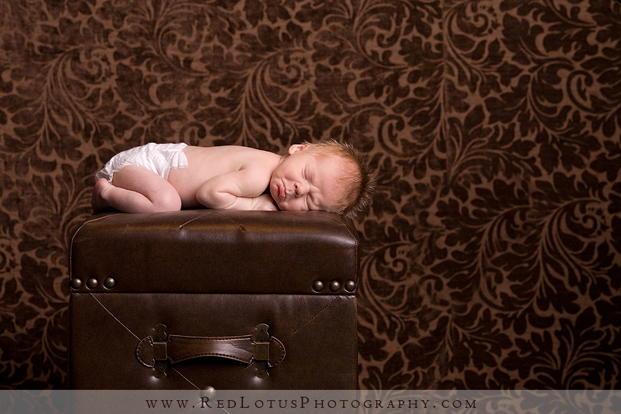022810-photographer-pittsburgh-002