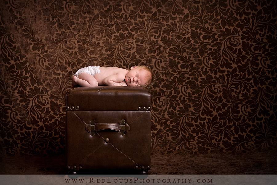 022810-photographer-pittsburgh-001