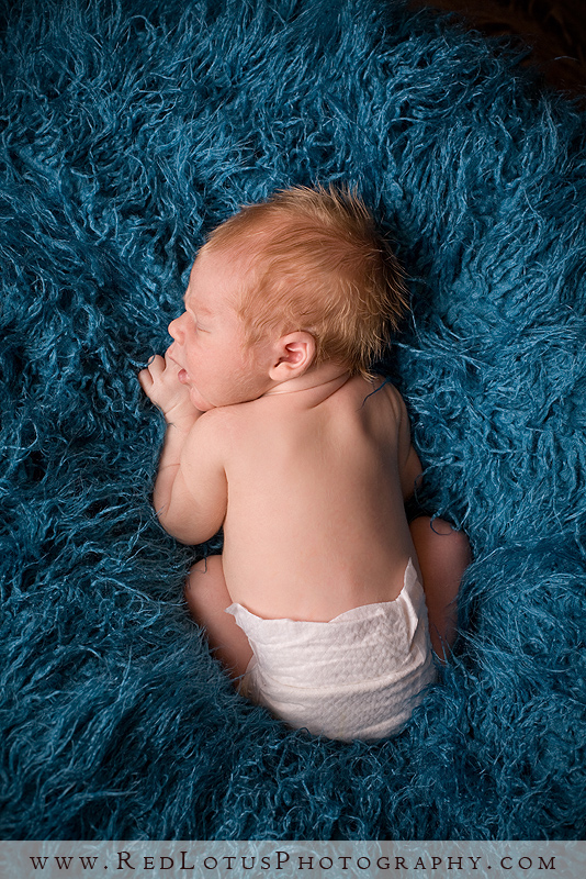 022810-baby-pictures-pittsburgh-001