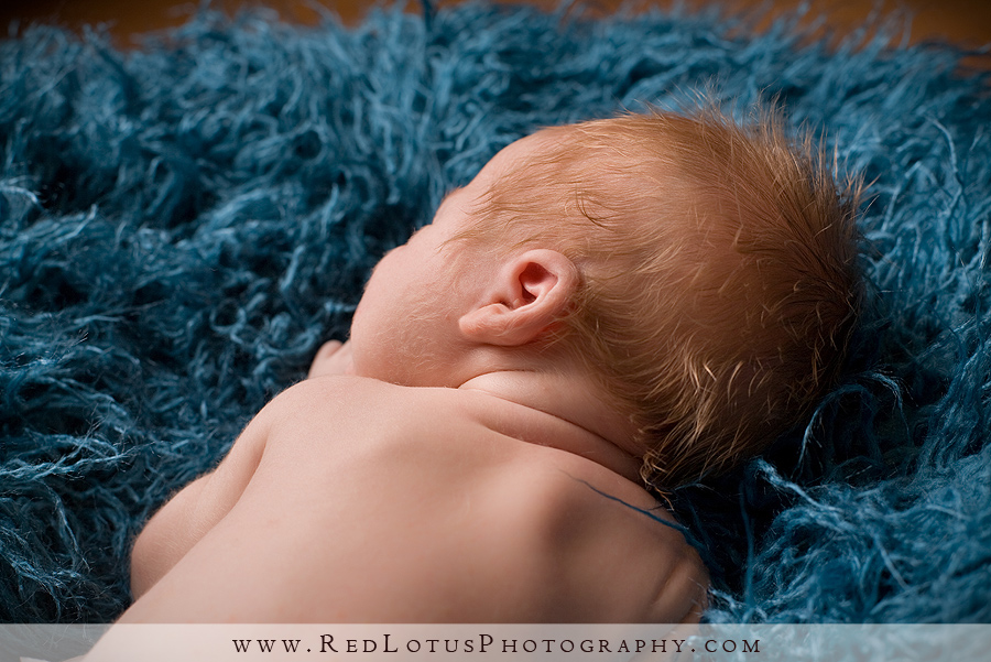 022810-baby-pictures-pittsburgh-002