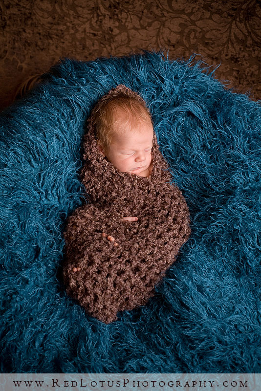 022810-baby-pictures-pittsburgh-003
