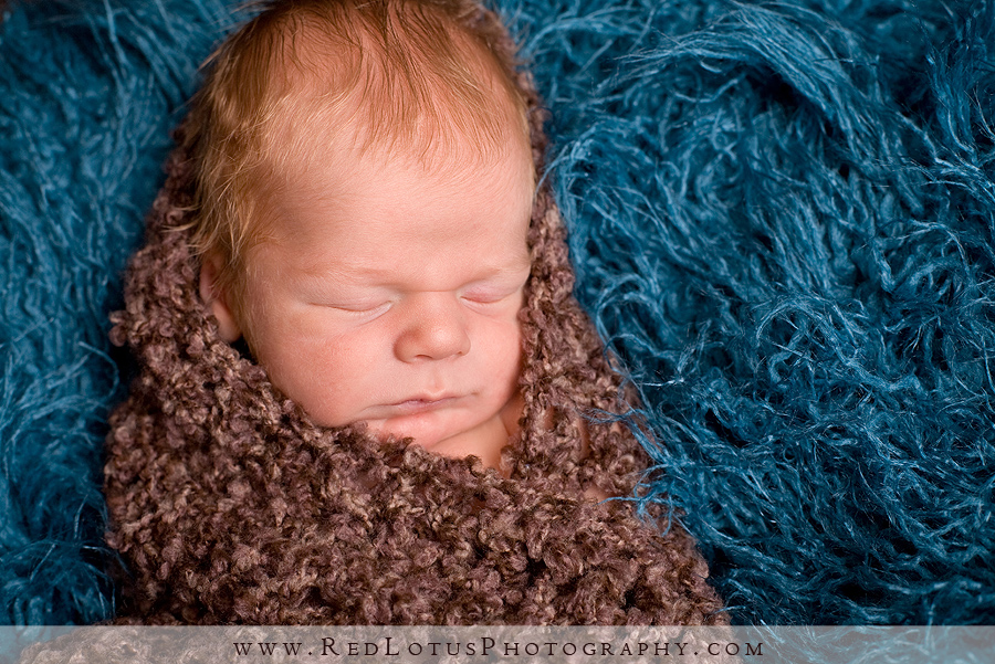 022810-baby-pictures-pittsburgh-004