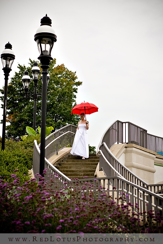 030610-phipps-conservatory-wedding-011