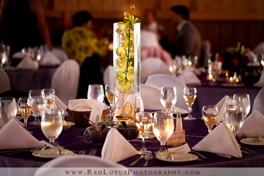 072110-ligonier-wedding-photographer-31