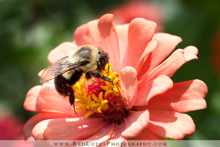 072210-macro-3