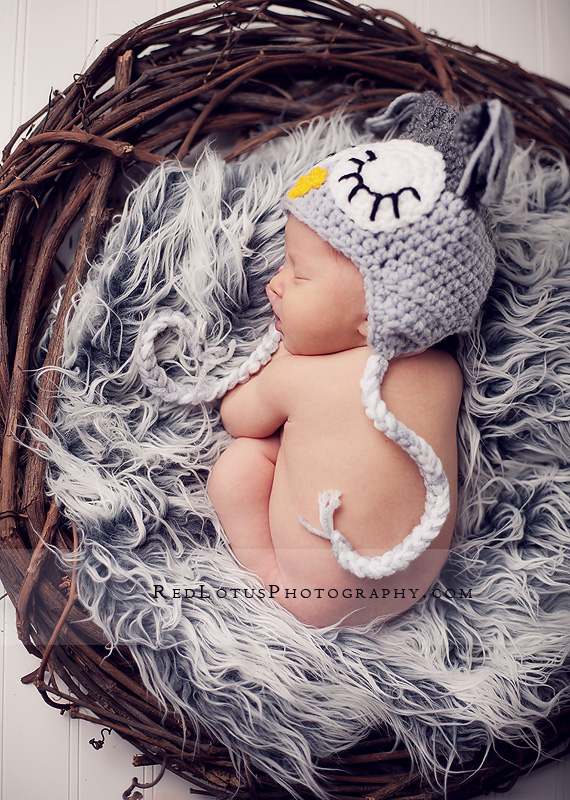 20120127-baby-pictures-pittsburgh-03