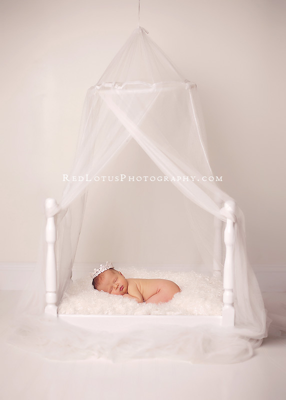 20120127-baby-pictures-pittsburgh-06