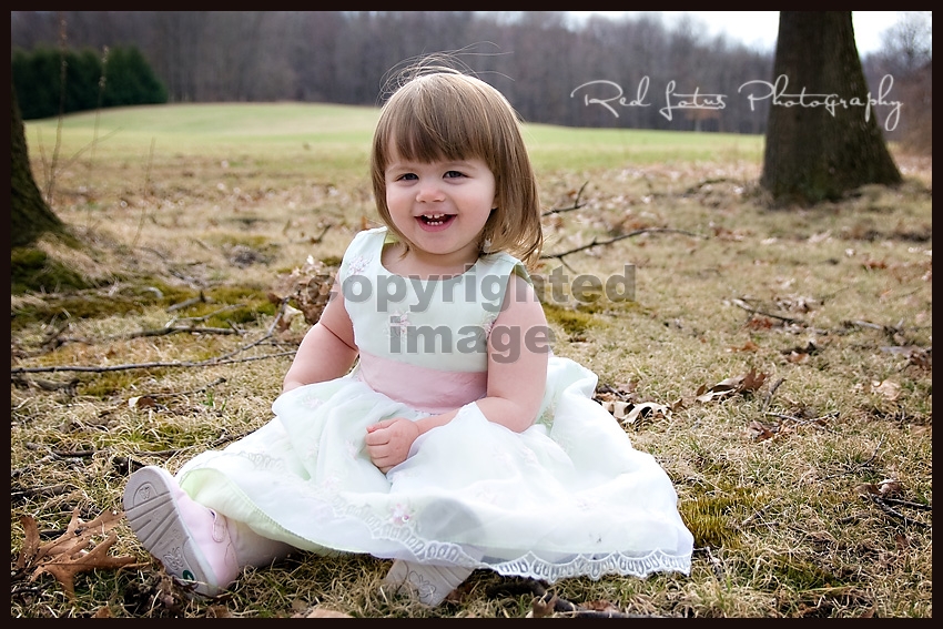 family photographer pittsburgh pa