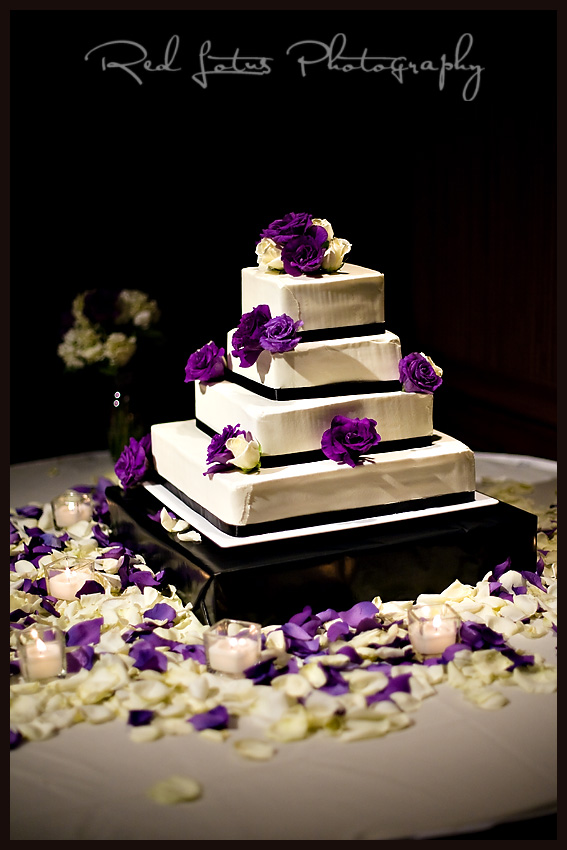 wedding photographers pittsburgh