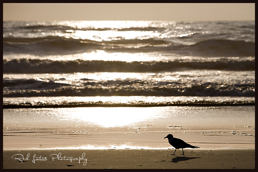 outer banks nc