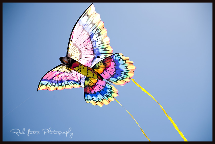 photographer outer banks