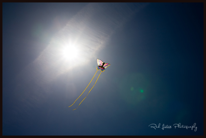 outer banks photographers