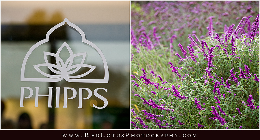 030610-phipps-conservatory-wedding-001