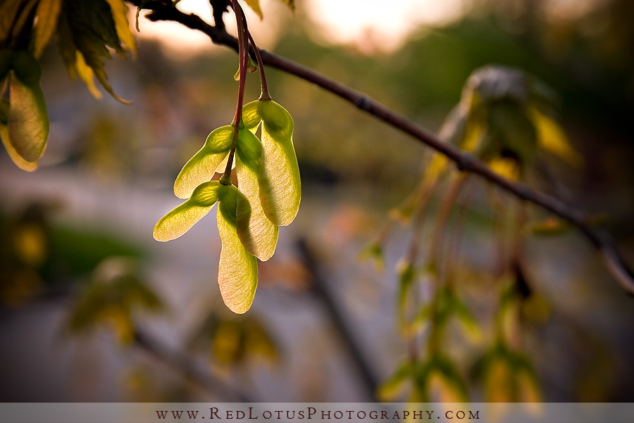 042010-signs-of-spring-01