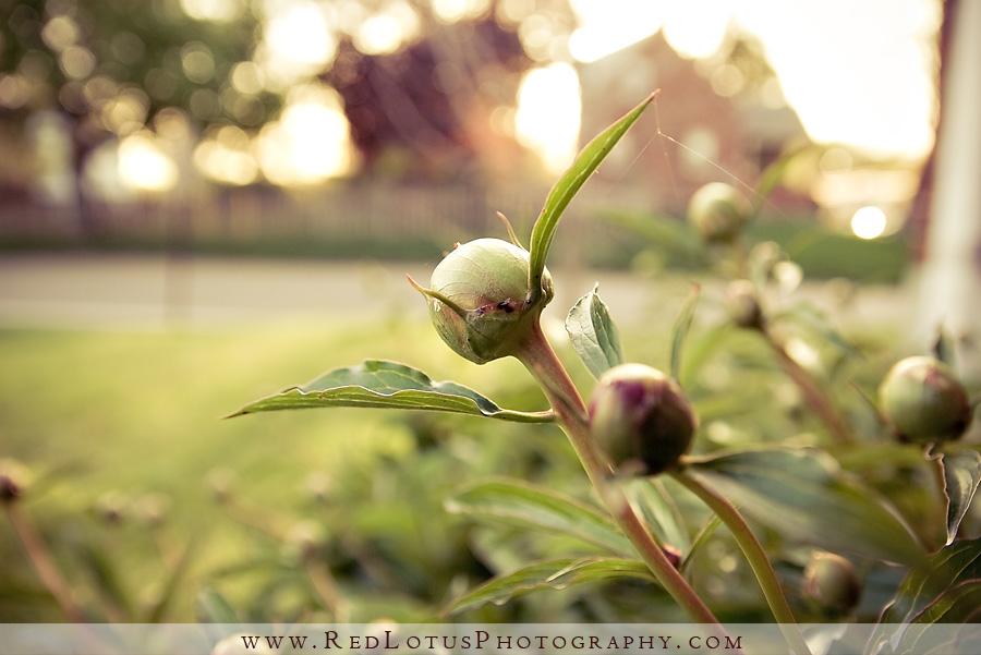 042010-signs-of-spring-02
