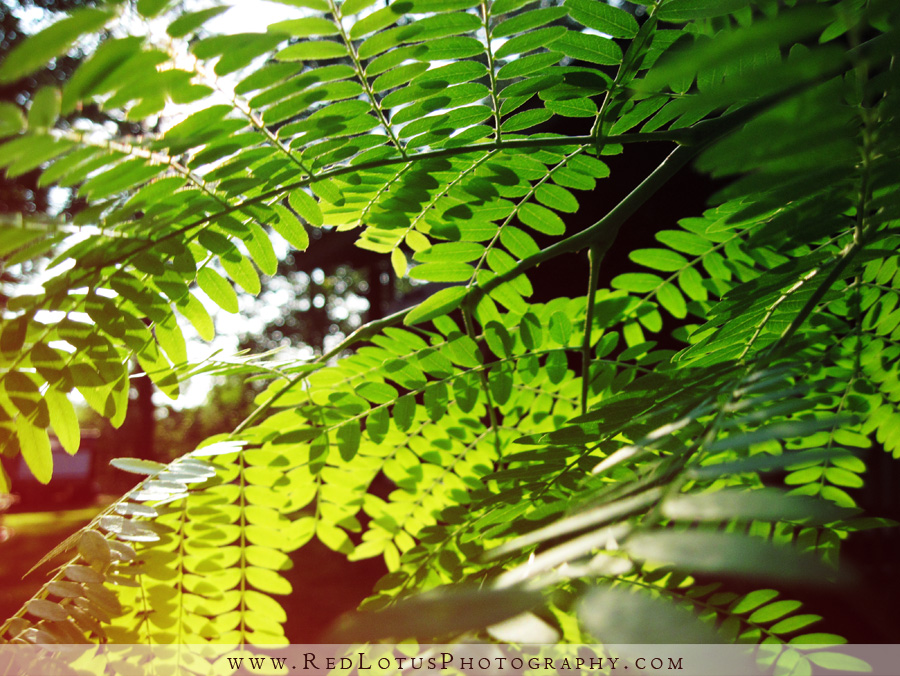 20100810-home-02