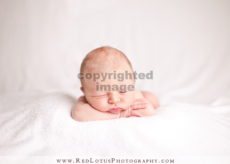 Newborn Photography Pittsburgh