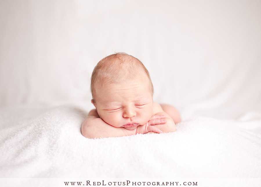 20100924-pittsburgh-newborn-photographer-01 Newborn Photography Pittsburgh