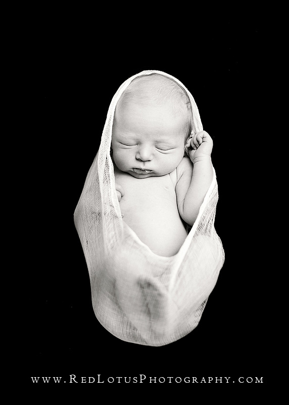 20100924-pittsburgh-newborn-photographer-02