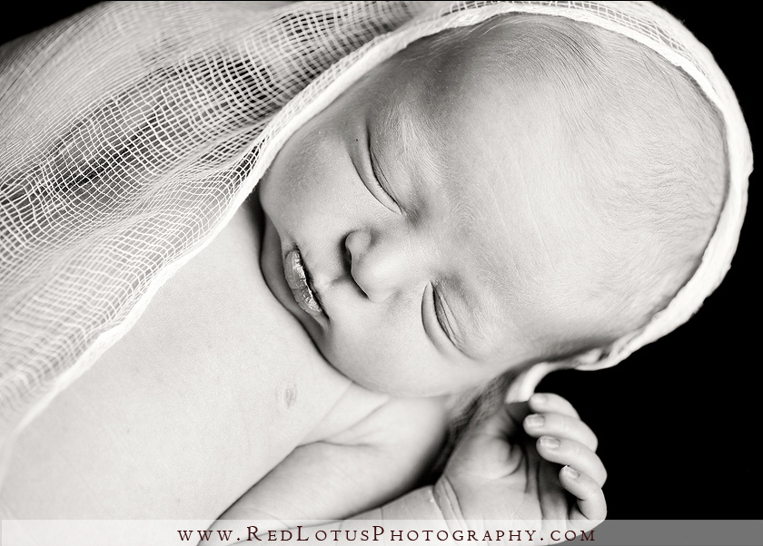 20100924-pittsburgh-newborn-photographer-03