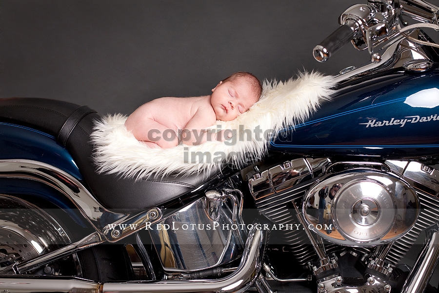 Newborn on a Harley Davidson Motorcyle