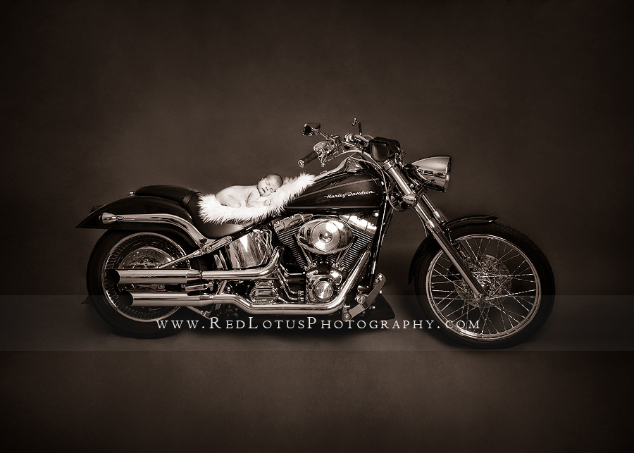 20110207-harley-davidson-baby-2 Baby on a Harley Davidson motorcyle