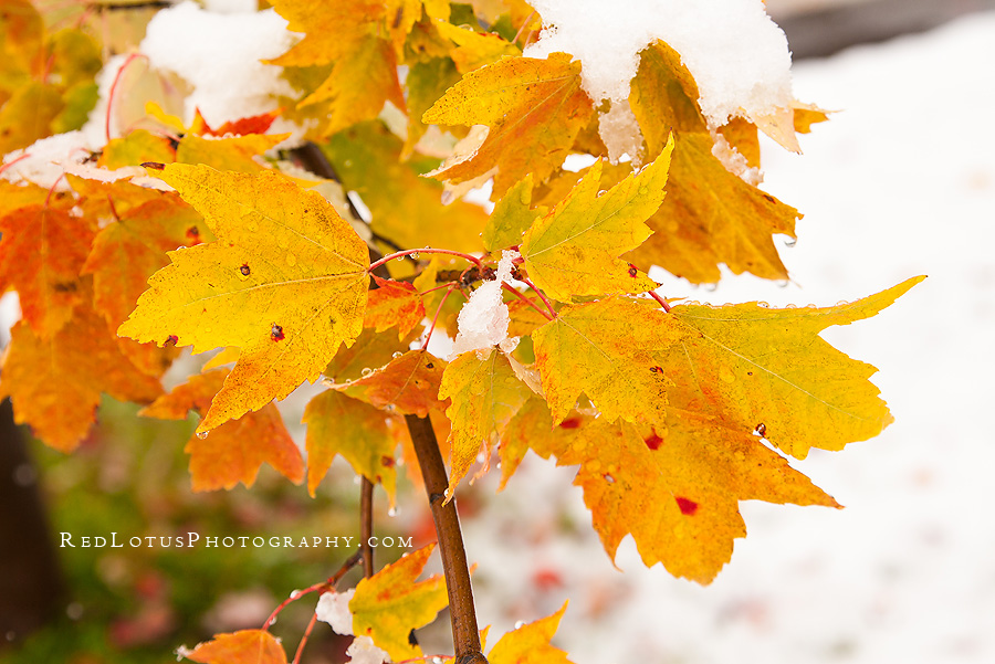 20111029-snow-fun-02