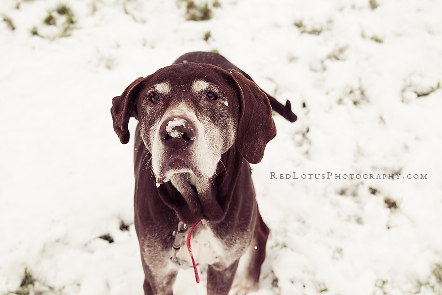 20111029-snow-fun-03