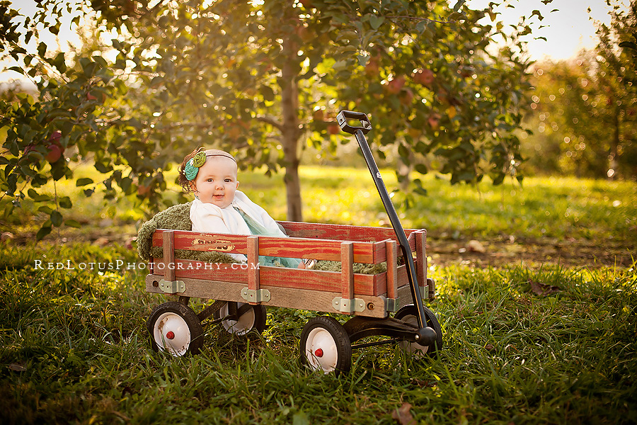20111214-best-baby-photography-pittsburgh-01