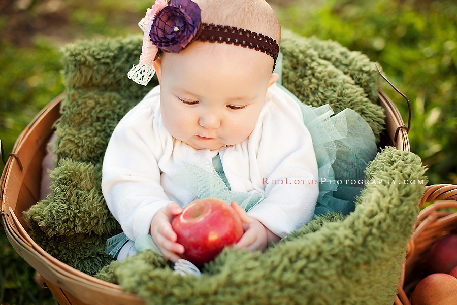 20111214-best-baby-photography-pittsburgh-03