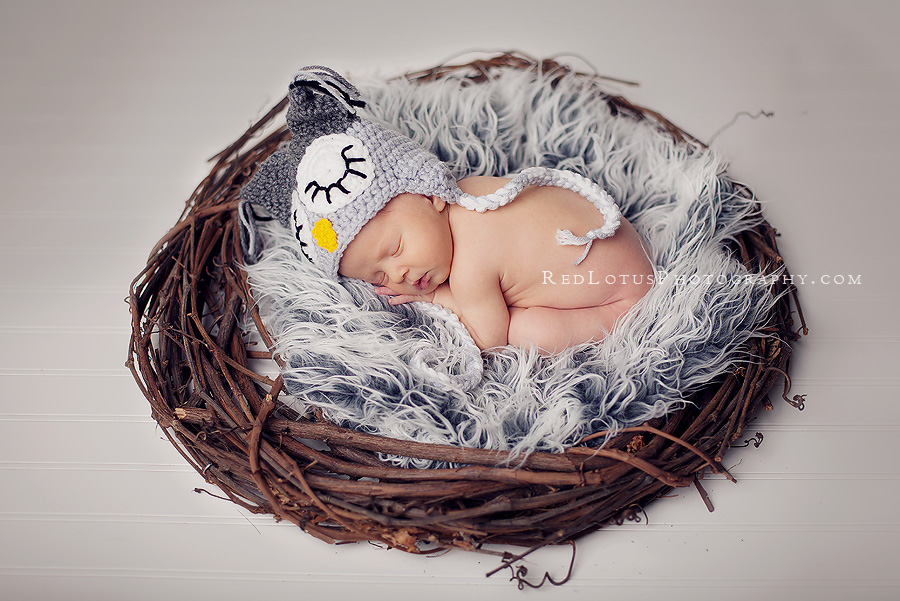 20120127-baby-pictures-pittsburgh-02