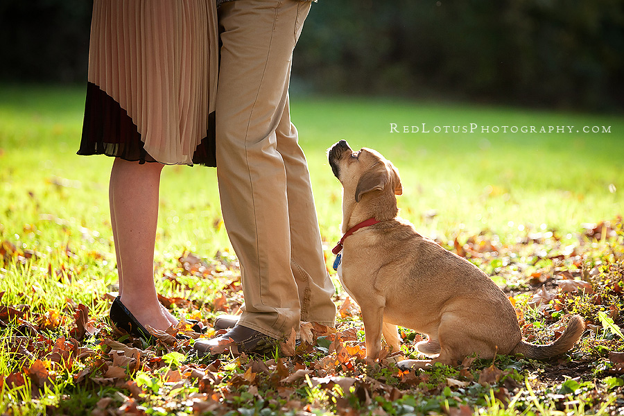 20120215-engagement-pictures-pittsburgh03