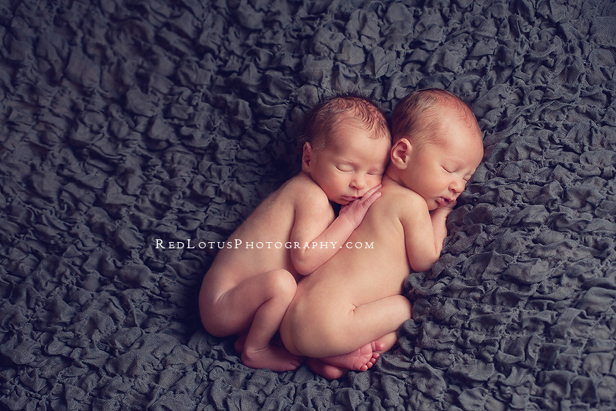 20120302-newborn-twin-photography-01 twin baby photographer