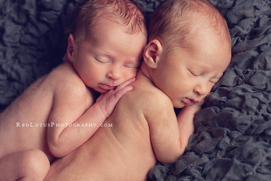 20120302-newborn-twin-photography-02 twin baby photographer