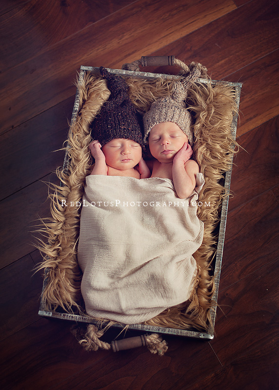 20120302-newborn-twin-photography-03 twin baby photographer