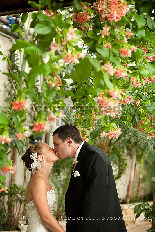 Phipps Conservatory Wedding | Erin & Dan » Red Lotus Photographers Near Me