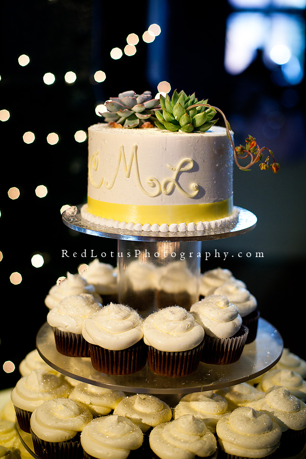 succulents as a cake topper