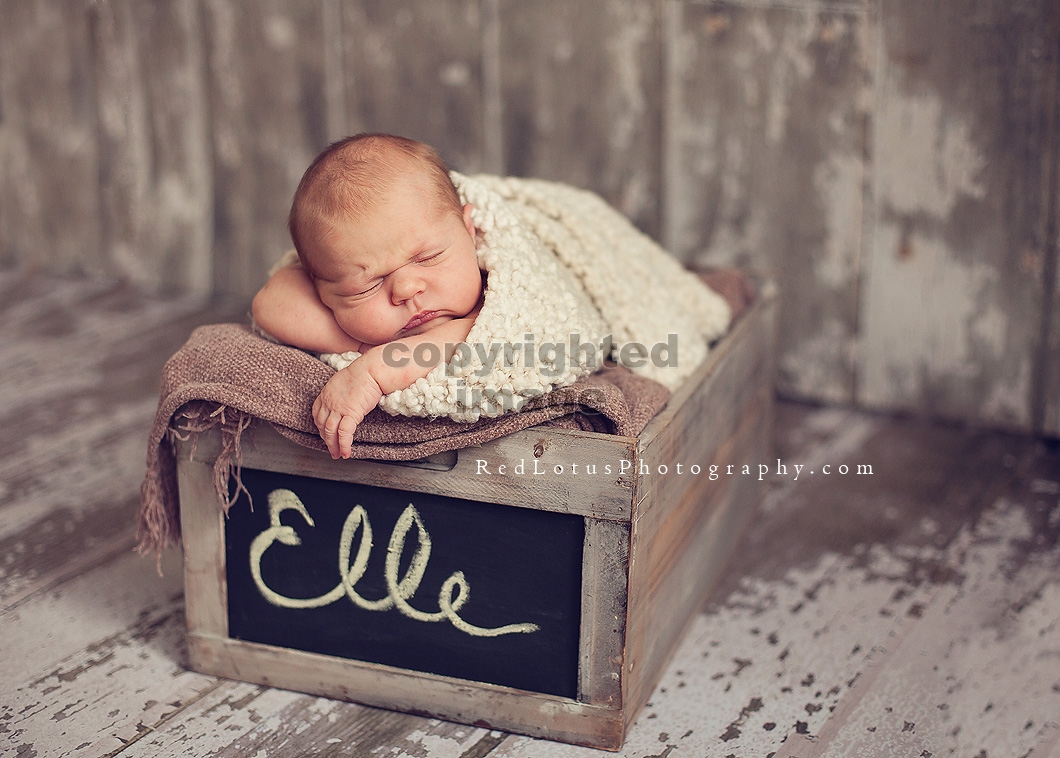 natural light newborn photography in a studio