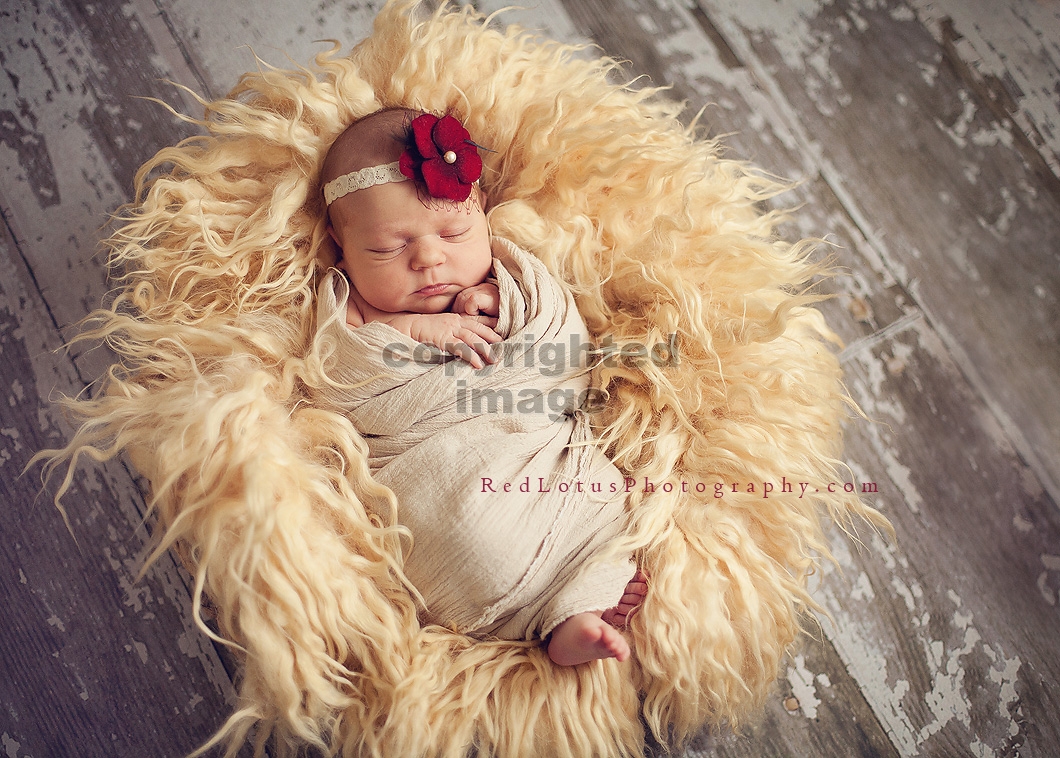 unique and beautiful newborn photos with natural light in a studio