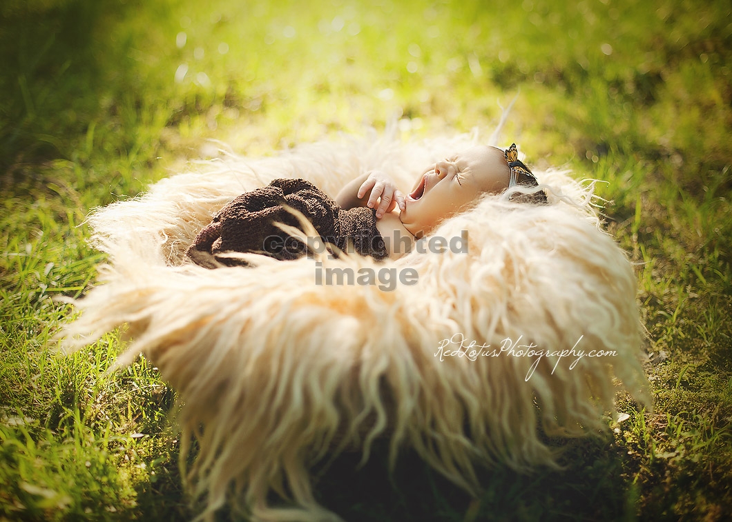 outdoor newborn photography nature