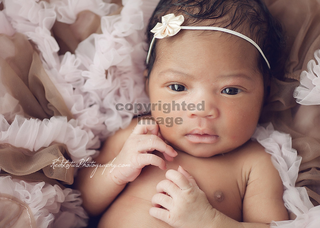 pittsburgh-newborn-photographer-12