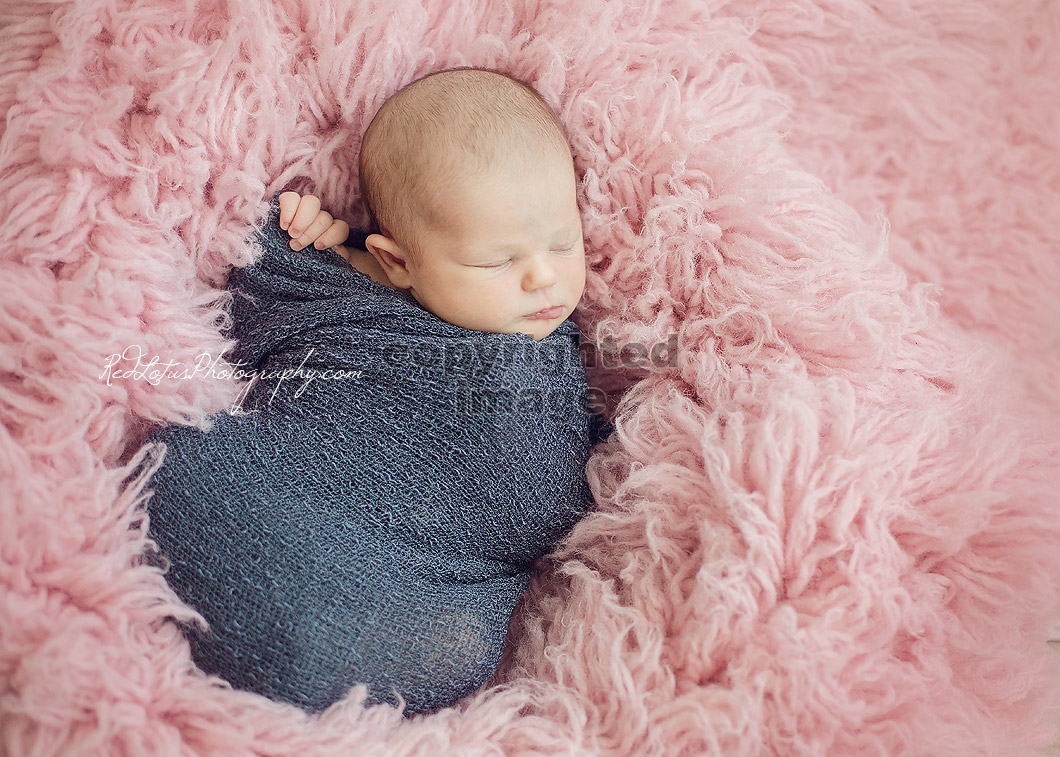 newborn-photographer-pittsburgh-01