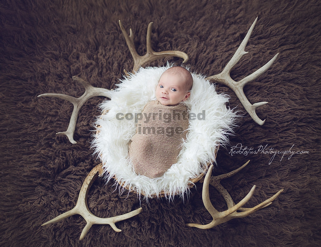 baby-photographer-pittsburgh-01