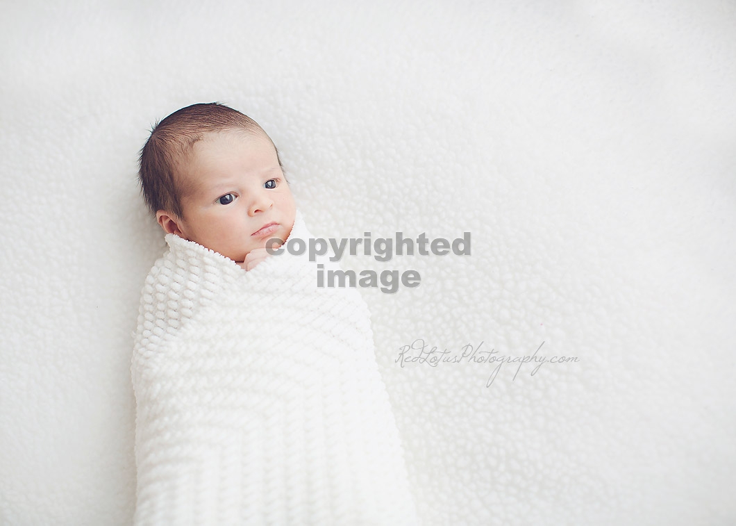 infant-photographer-pittsburgh-01