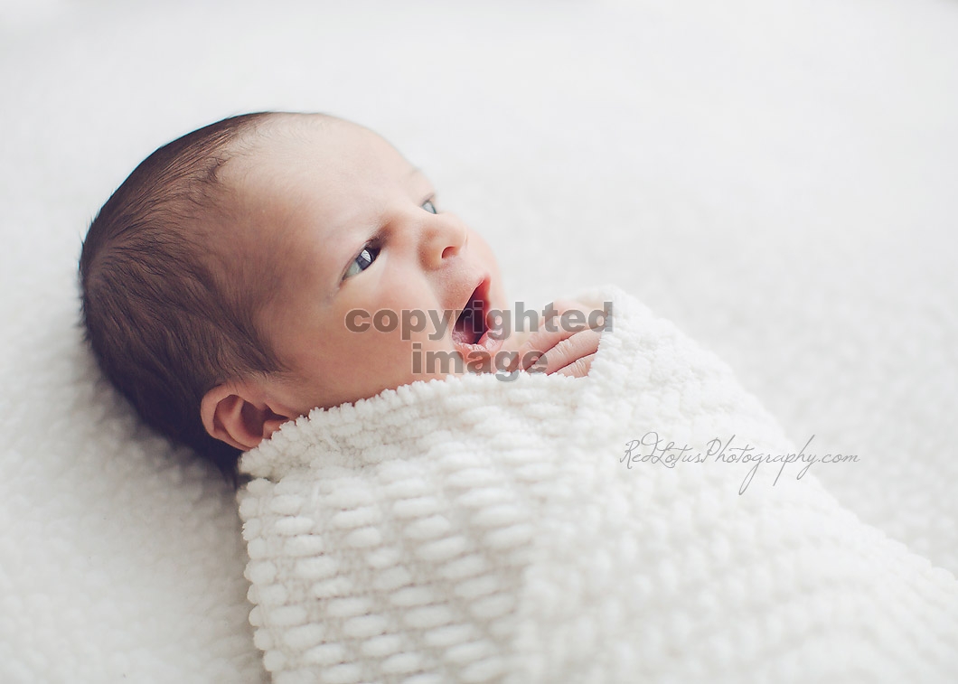 infant-photographer-pittsburgh-02