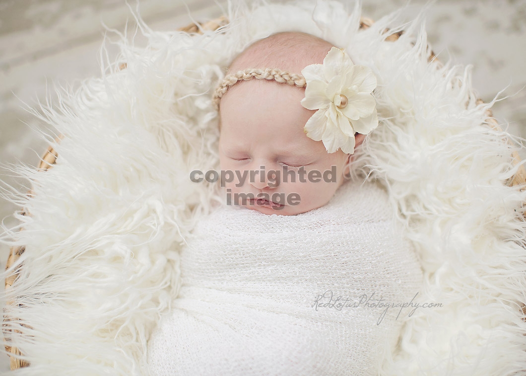 newborn-photos-pittsburgh-03