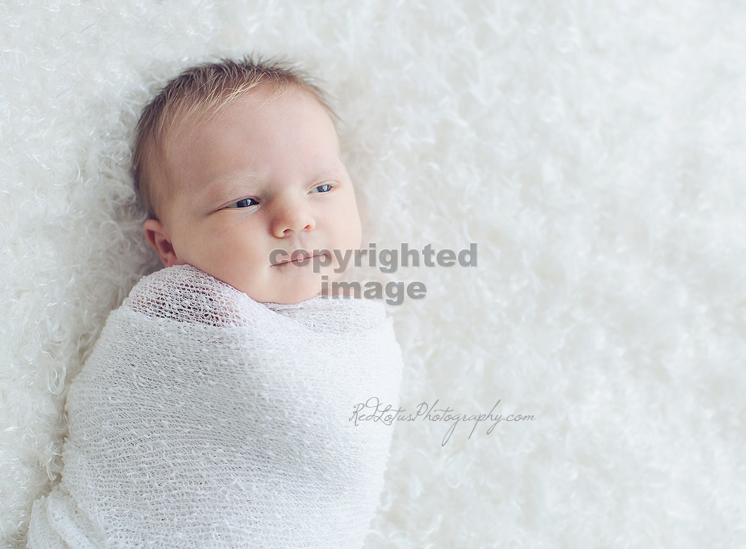 baby-photographer-pittsburgh-01